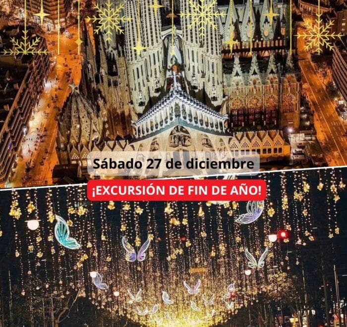 ¡Las mejores excursiones, circuitos y viajes desde Madrid en un mismo lugar!