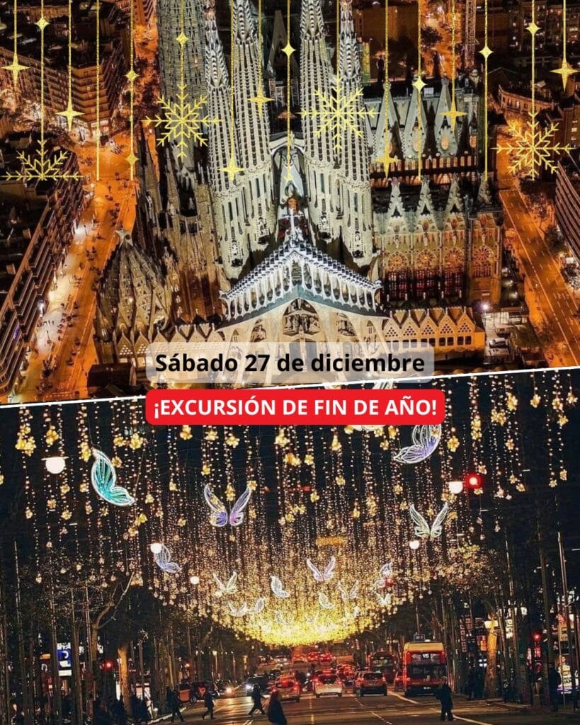 ¡Las mejores excursiones, circuitos y viajes desde Madrid en un mismo lugar!