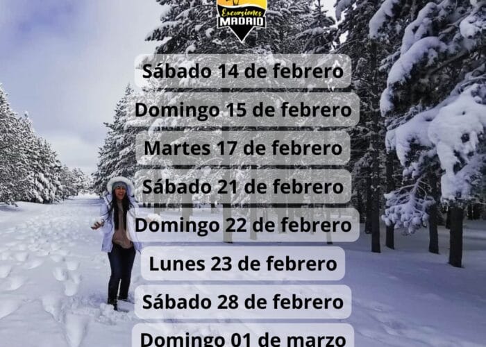 ¡Las mejores excursiones, circuitos y viajes desde Madrid en un mismo lugar!