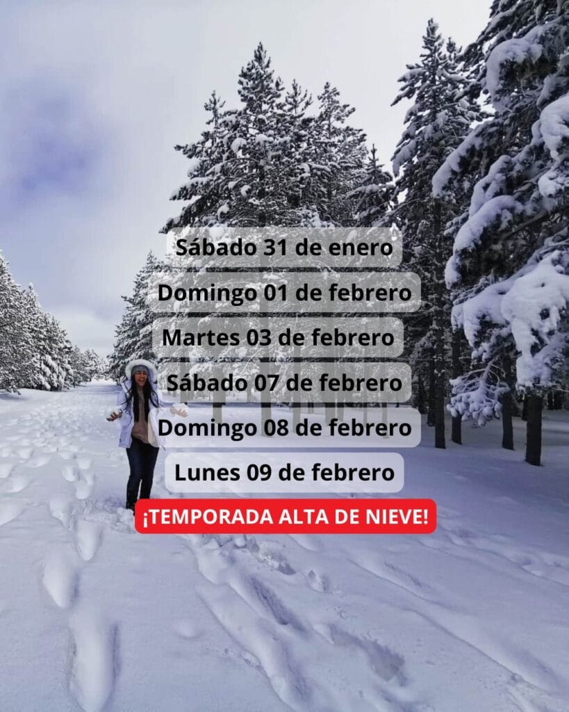 ¡Las mejores excursiones, circuitos y viajes desde Madrid en un mismo lugar!