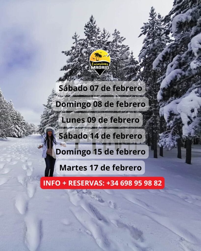 ¡Las mejores excursiones, circuitos y viajes desde Madrid en un mismo lugar!