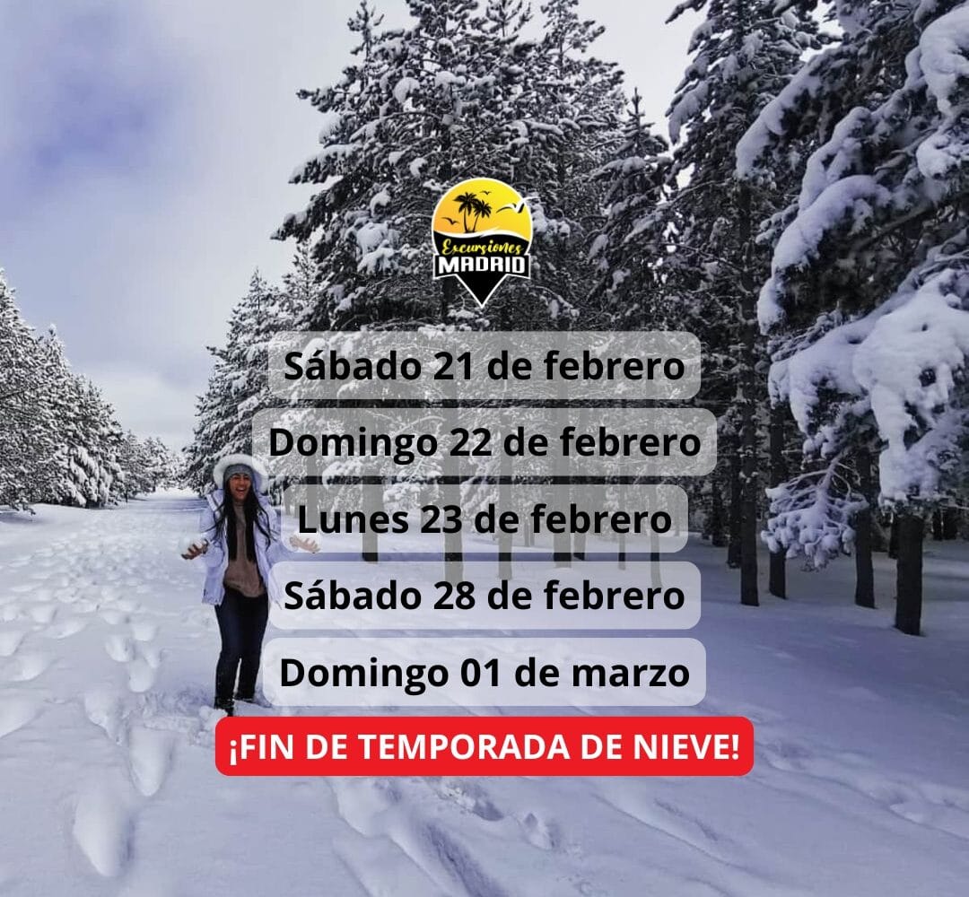 ¡Las mejores excursiones, circuitos y viajes desde Madrid en un mismo lugar!