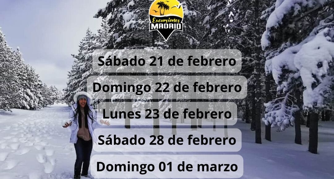 ¡Las mejores excursiones, circuitos y viajes desde Madrid en un mismo lugar!