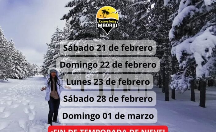 ¡Las mejores excursiones, circuitos y viajes desde Madrid en un mismo lugar!