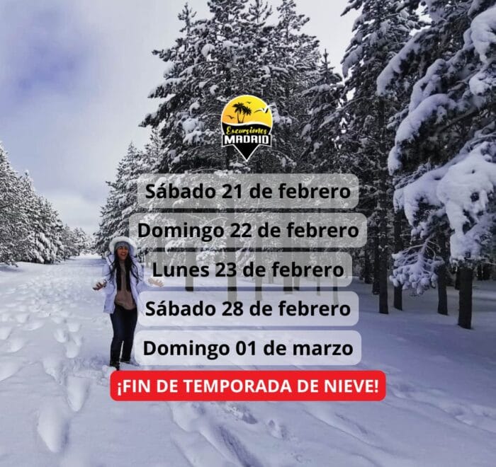 ¡Las mejores excursiones, circuitos y viajes desde Madrid en un mismo lugar!