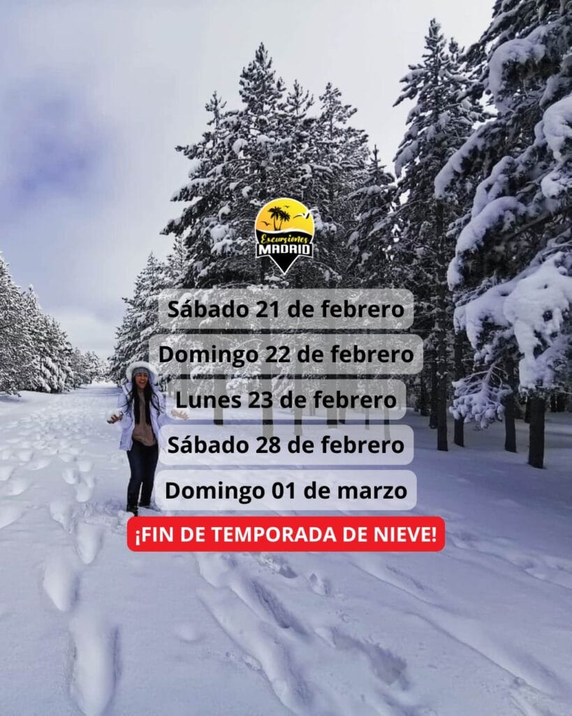 ¡Las mejores excursiones, circuitos y viajes desde Madrid en un mismo lugar!