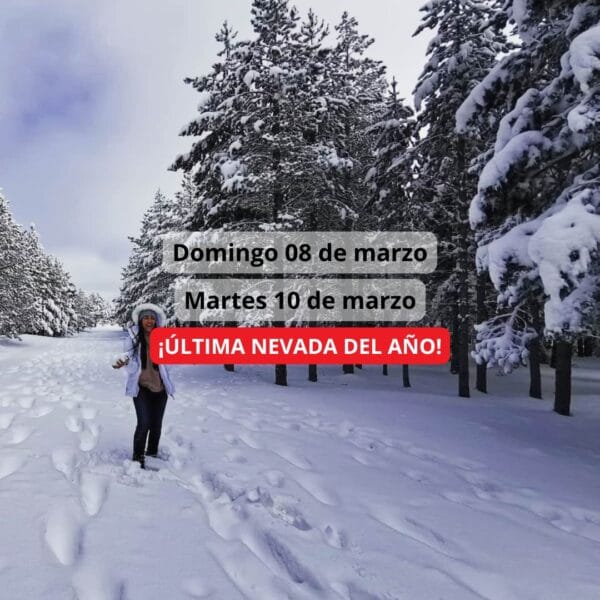 ¡Las mejores excursiones, circuitos y viajes desde Madrid en un mismo lugar!