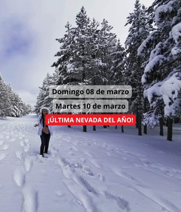 ¡Las mejores excursiones, circuitos y viajes desde Madrid en un mismo lugar!