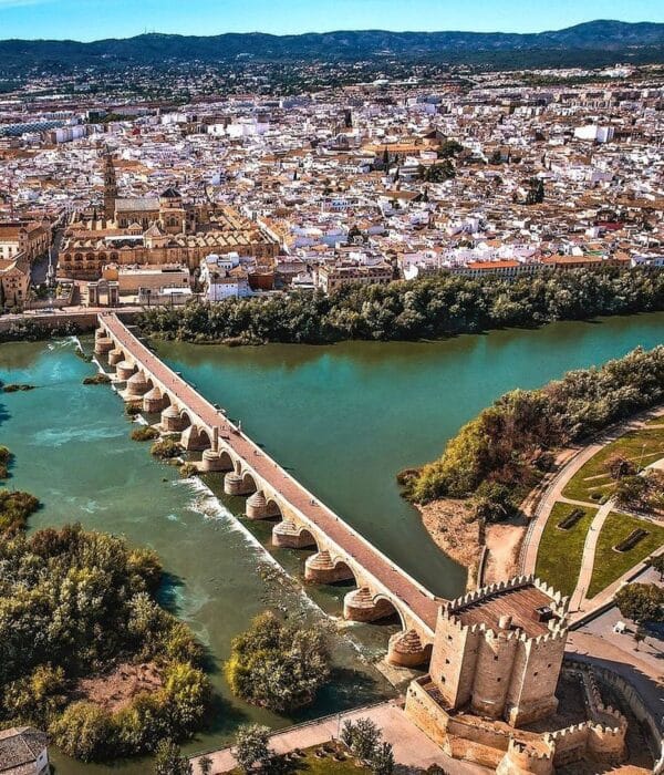 ¡Las mejores excursiones, circuitos y viajes desde Madrid en un mismo lugar!