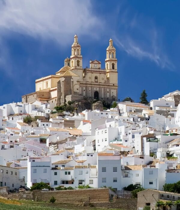 ¡Las mejores excursiones, circuitos y viajes desde Valencia en un mismo lugar!