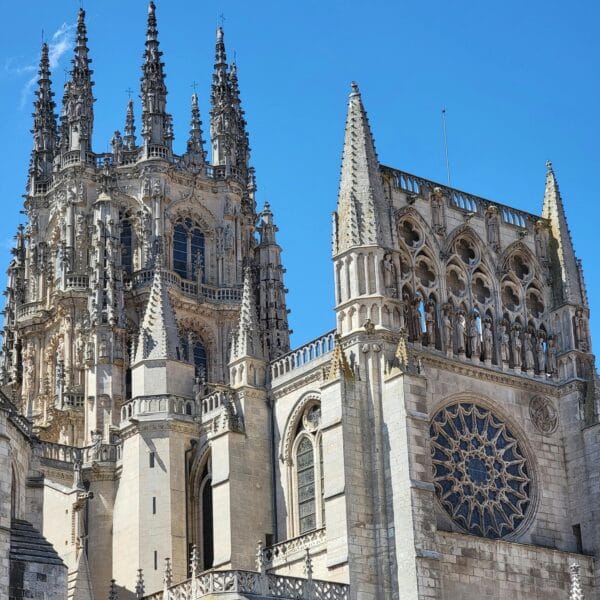 ¡Las mejores excursiones, circuitos y viajes desde Valencia en un mismo lugar!