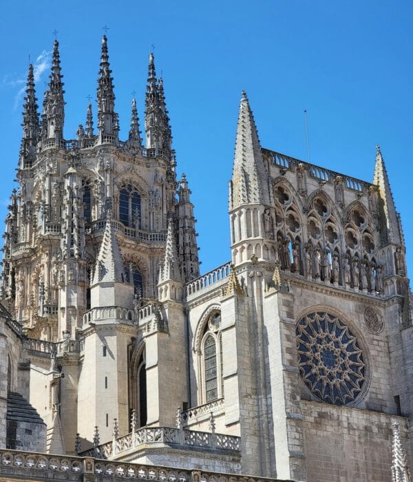 ¡Las mejores excursiones, circuitos y viajes desde Valencia en un mismo lugar!