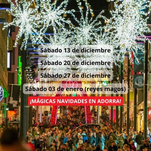 ¡Las mejores excursiones, circuitos y viajes desde Madrid en un mismo lugar!