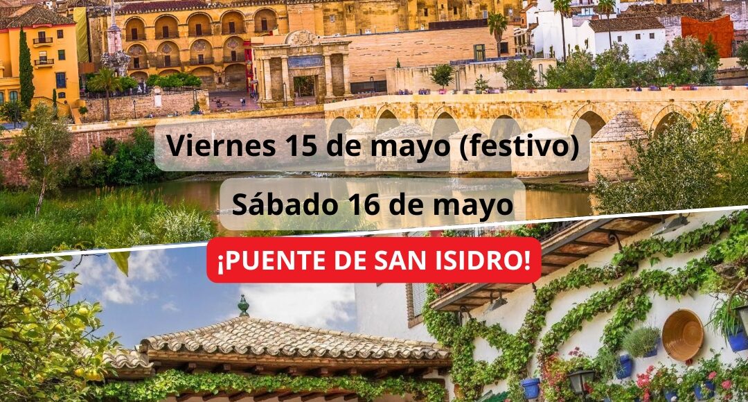 ¡Las mejores excursiones, circuitos y viajes desde Madrid en un mismo lugar!