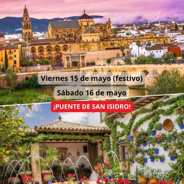 ¡Las mejores excursiones, circuitos y viajes desde Madrid en un mismo lugar!