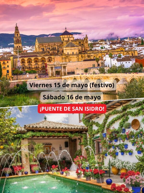 ¡Las mejores excursiones, circuitos y viajes desde Madrid en un mismo lugar!