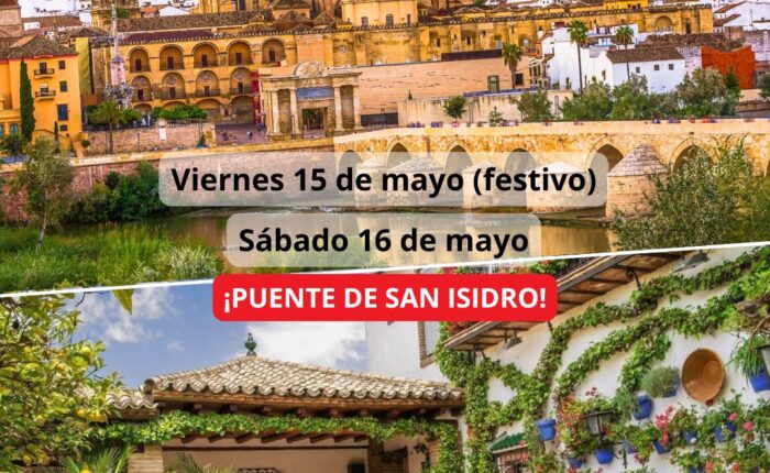 ¡Las mejores excursiones, circuitos y viajes desde Madrid en un mismo lugar!