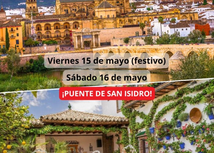 ¡Las mejores excursiones, circuitos y viajes desde Madrid en un mismo lugar!
