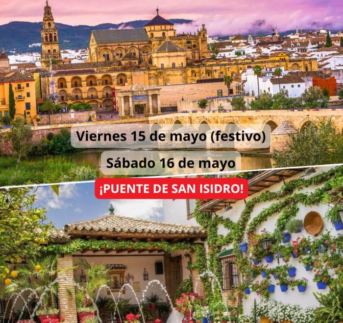 ¡Las mejores excursiones, circuitos y viajes desde Madrid en un mismo lugar!